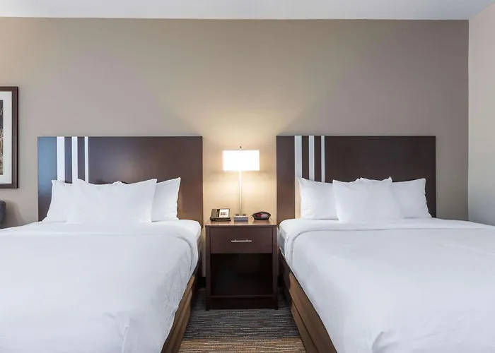 Wingate By Wyndham Hotel 3*